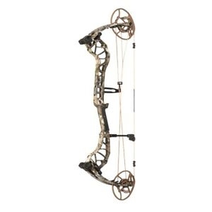 Bear Archery Divergent